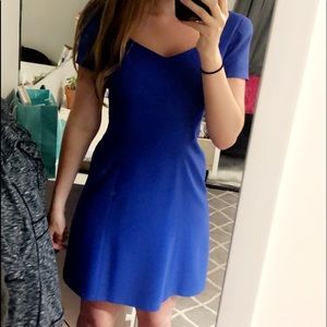 HOST PICK Liz Caliborne royal blue cocktail dress